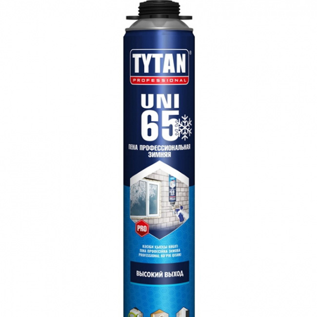 Tytan Professional UNI 65 зимняя (750мл)